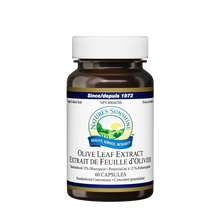 Load image into Gallery viewer, Olive Leaf | NSP Herbal Supplement