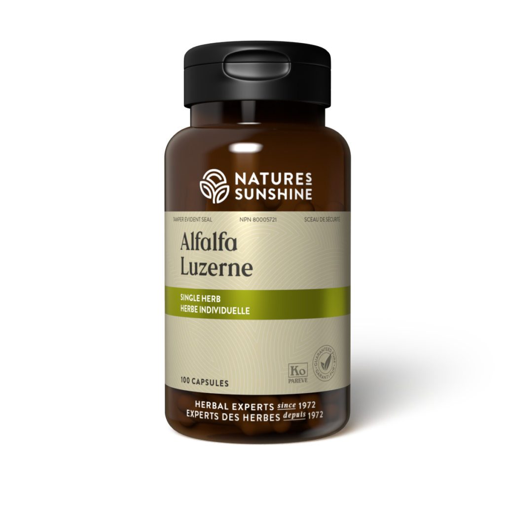 Alfalfa | NSP Herbal Supplement