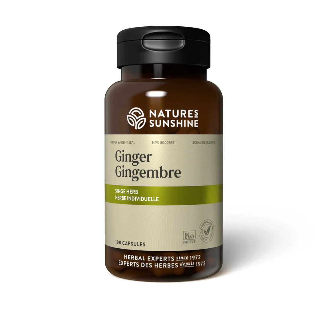 Ginger | NSP Herbal Supplement
