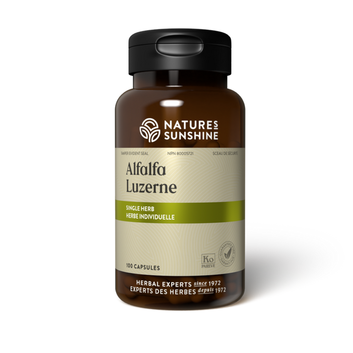 Alfalfa | NSP Herbal Supplement