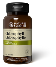 Load image into Gallery viewer, Chlorophyll Caps | NSP Herbal Supplement
