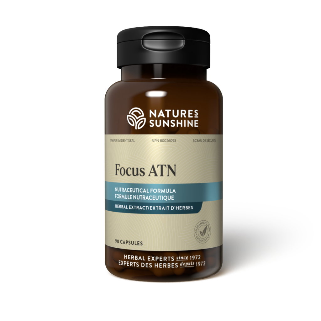 Focus ATN | NSP Herbal Supplement